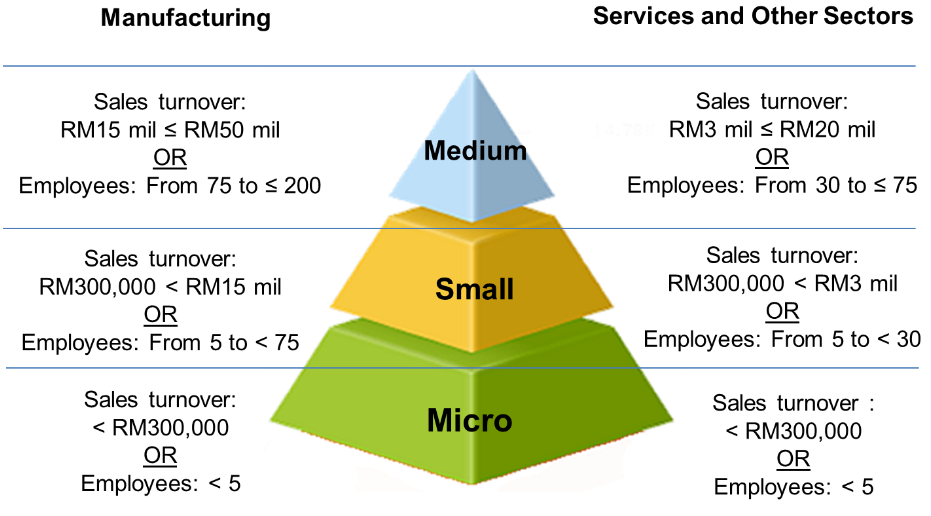 definition of msme